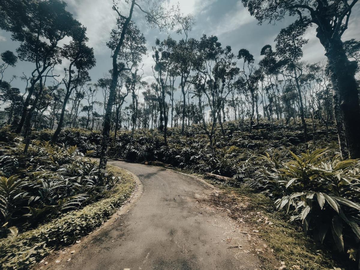 Mystic Mayapott, Thekkady Dış mekan fotoğraf