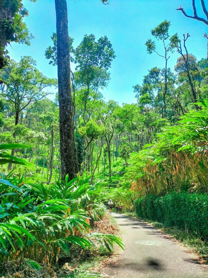 Mystic Mayapott, Thekkady Dış mekan fotoğraf
