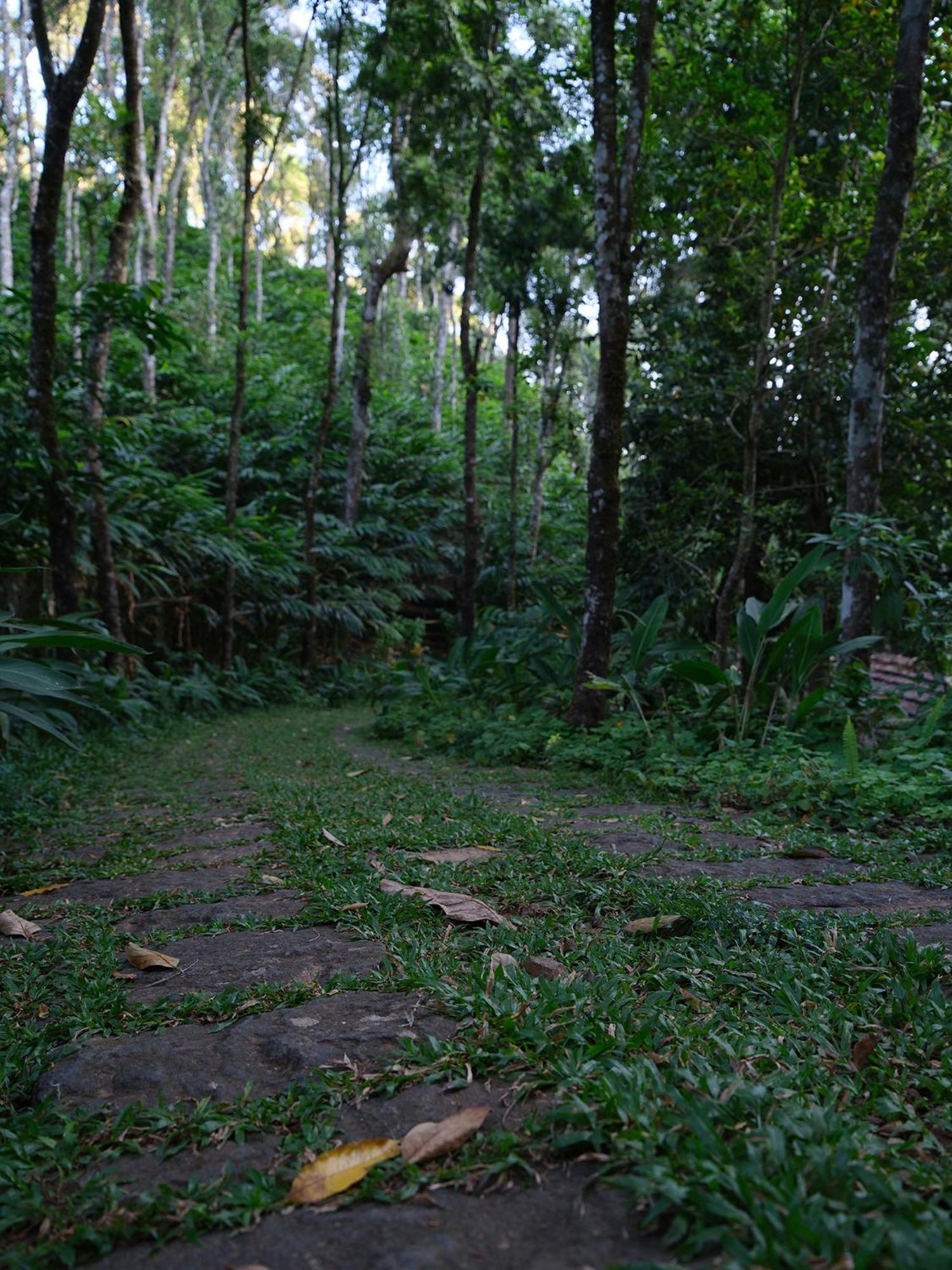Mystic Mayapott, Thekkady Dış mekan fotoğraf