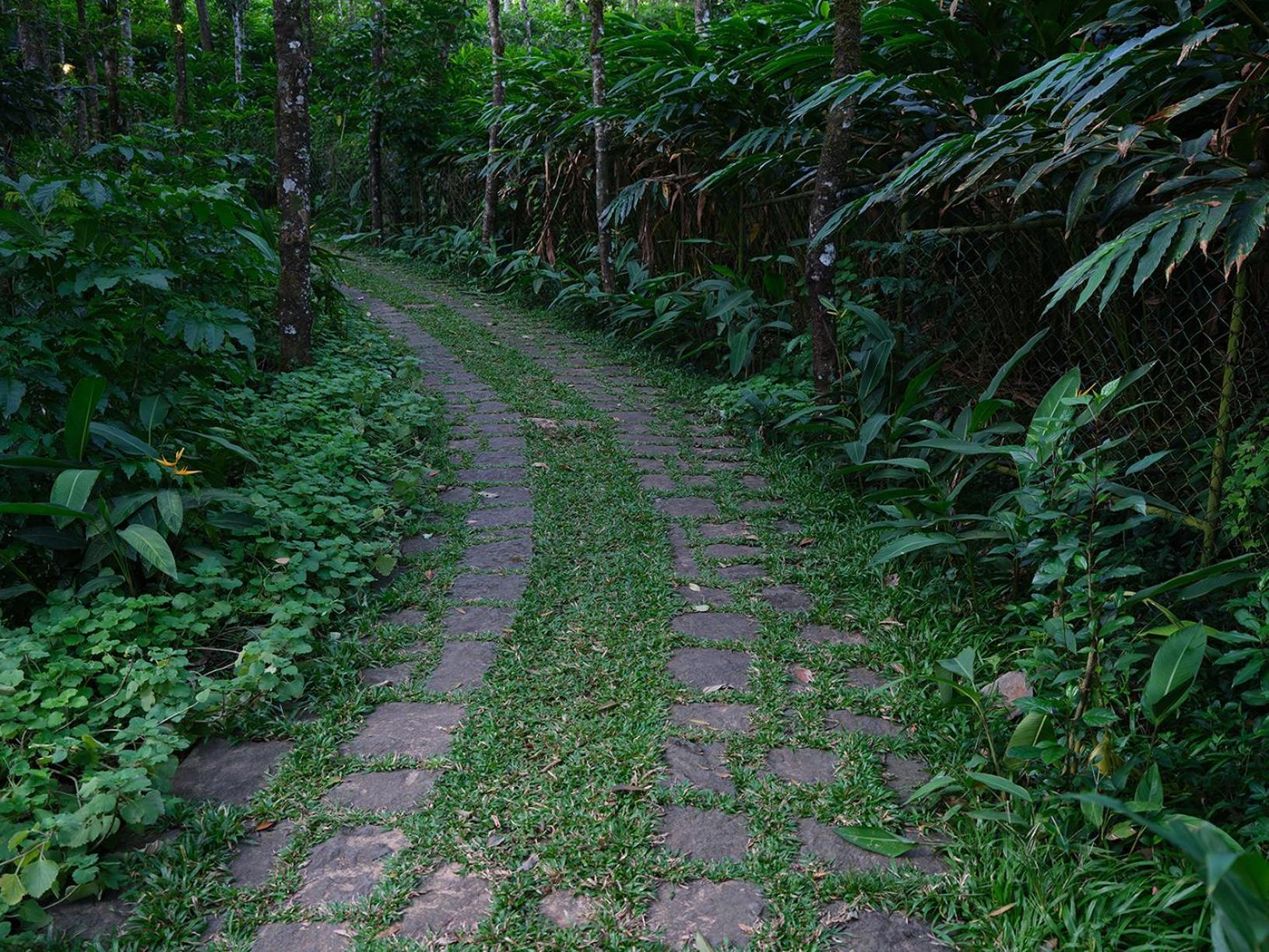 Mystic Mayapott, Thekkady Dış mekan fotoğraf
